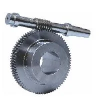Worm Gear and Worm Shaft